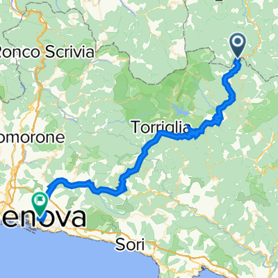 Genua brignola