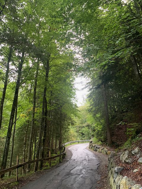 Muotathal - Uznach - Küsnacht