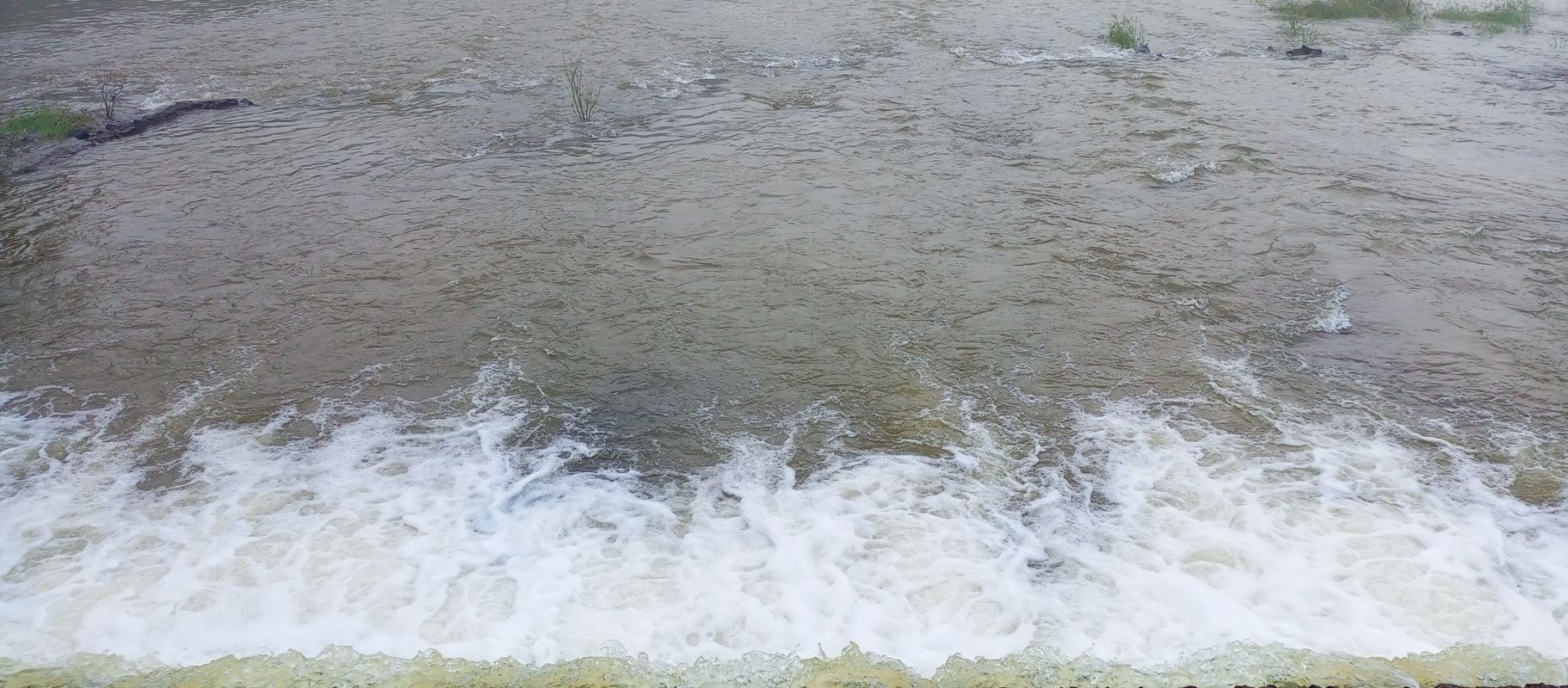 Triveni Society, Navi Mumbai