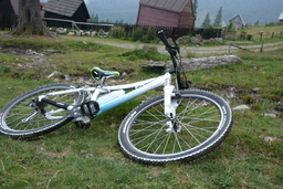 Hebe Bild 2 entlang der Bikemap-Route "Bologa - Vf. Vladeasa" hervor