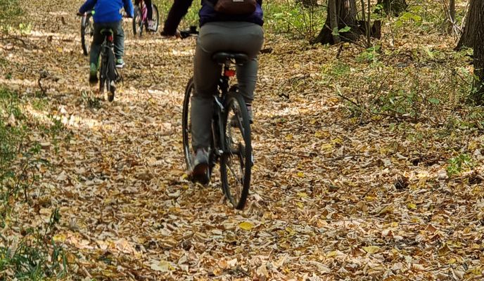 Photo 2 of the Bikemap route "Snagov"