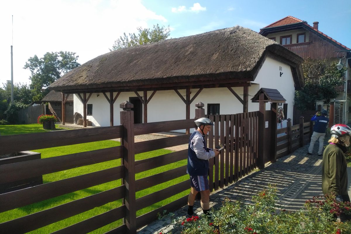 Gyula (Part utca 7) - Nagyszalonta - Gyula