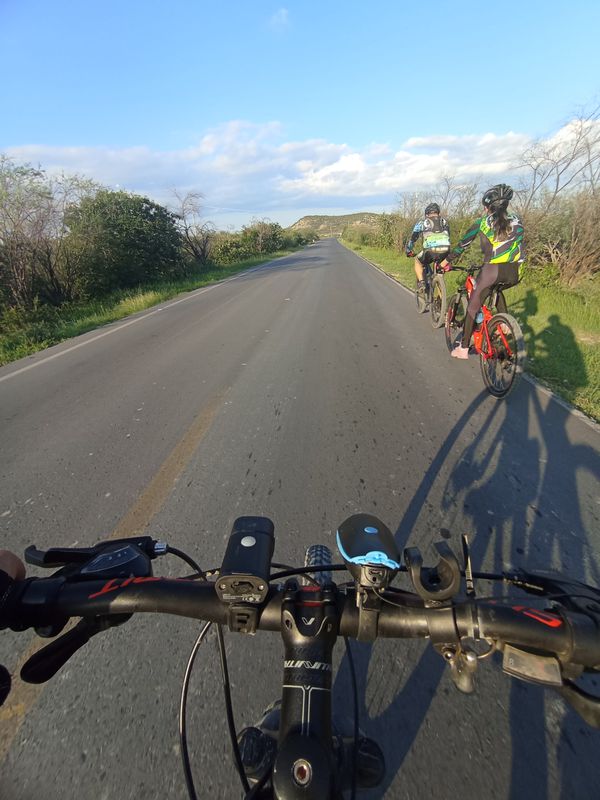 De Nuevo León 36, Purísima de Conchos a Chiapas 2216, Linares