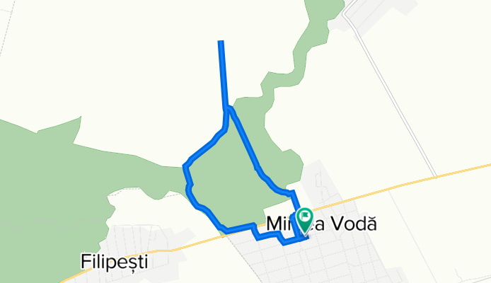 Mircea Voda to Mircea Voda