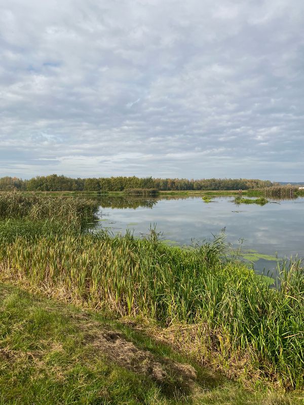 Czernichów