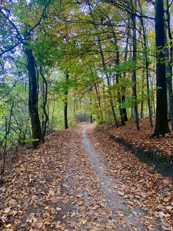 Czernichów