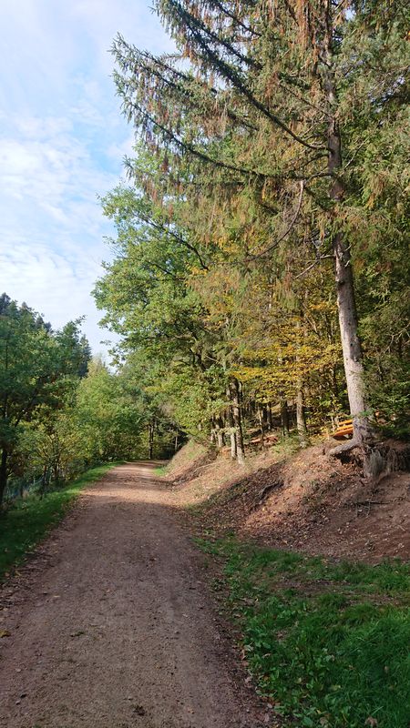Schiltach, Kuhbachrunde zu Fuß