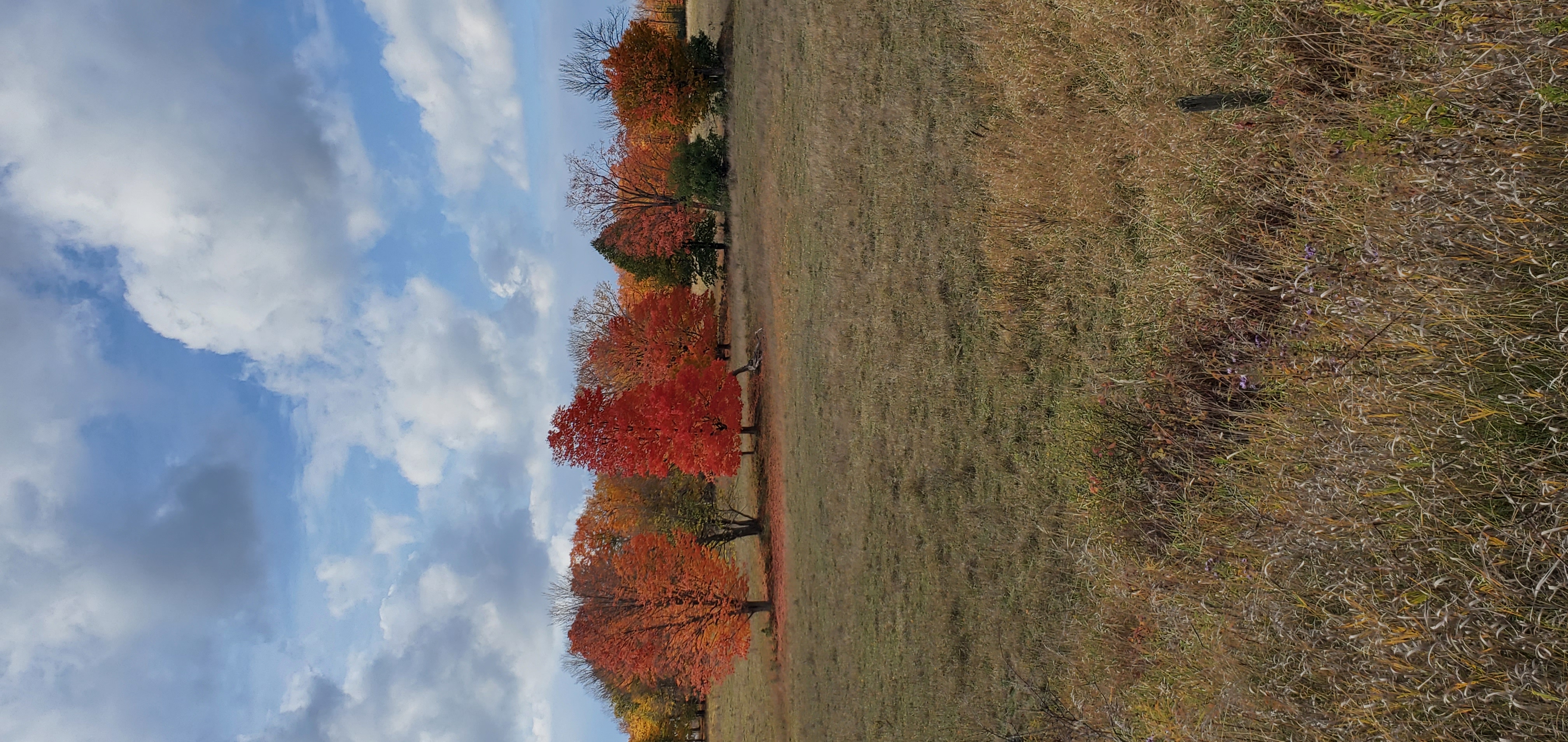 Parkhill Road West 630, Peterborough to Crawford Drive 875, Peterborough