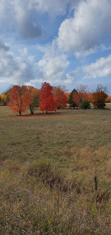 Parkhill Road West 630, Peterborough to Crawford Drive 875, Peterborough