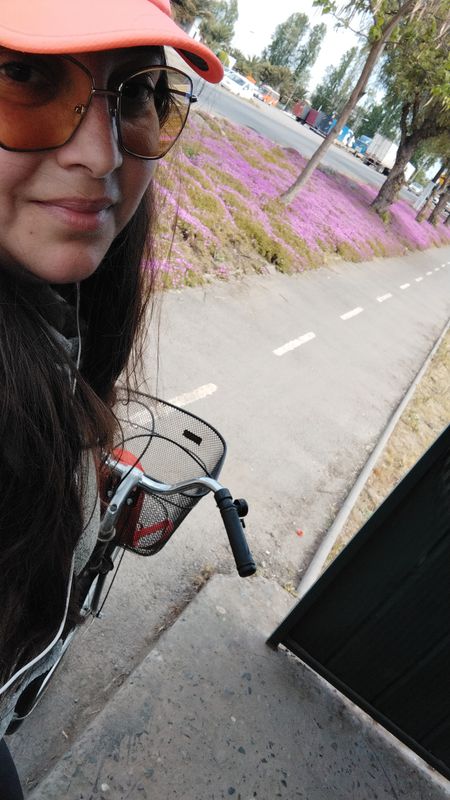 Ruta a El Encino 547, Colchagua