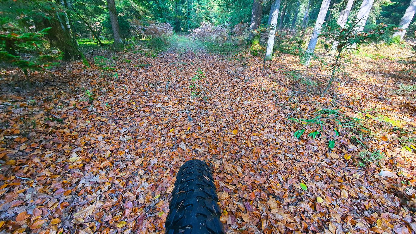 Kranj south MTB