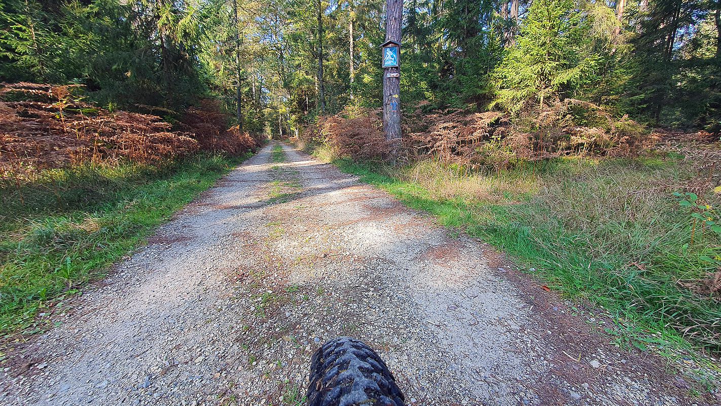 Kranj south MTB