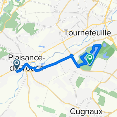 De Rue Monestié 14, Plaisance-du-Touch à Chemin de Larramet 51, Tournefeuille