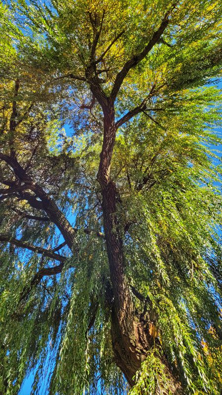 am Neckar runter und wieder rauf