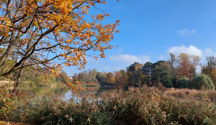 Foto 2 del percorso Bikemap "Jesienny spacer 30"