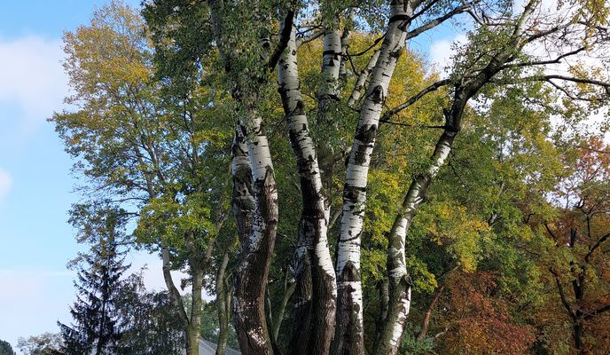 Foto 1 del percorso Bikemap "Jesienny spacer 30"