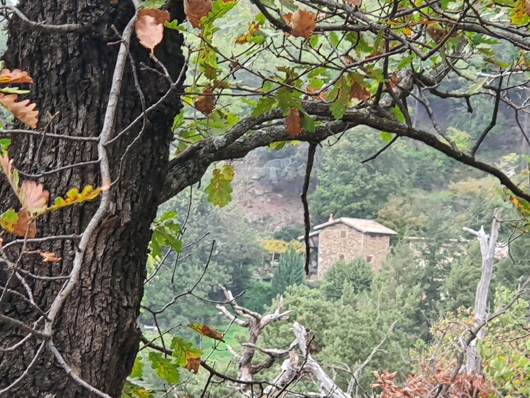 Montpoulet 800 à le Cros par La Bonnefont