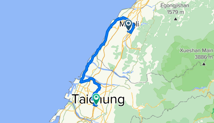 苗栗，高美濕地，Treeart