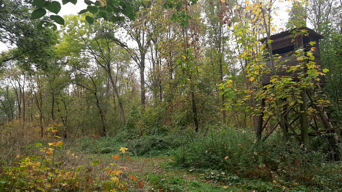 Karl-Marx-Straße 7, Bernburg (Saale) nach Karl-Marx-Straße 7, Bernburg (Saale)