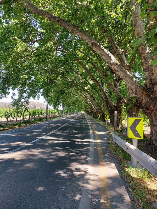 De G-530 38, Paine a G-530 38, Paine