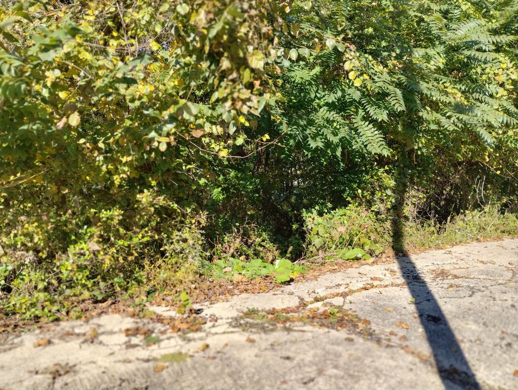 Owens Avenue 1800, Fairmont to Owens Avenue 1811, Fairmont