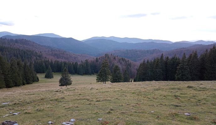 Foto 2 de la ruta de Bikemap "De Drum fără nume, Gârdea Seacă a Drum fără nume, Gârdea Seacă"