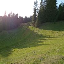 Foto 7 de la ruta de Bikemap "De Drum fără nume, Gârdea Seacă a Drum fără nume, Gârdea Seacă"