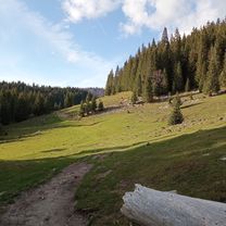 Foto 8 de la ruta de Bikemap "De Drum fără nume, Gârdea Seacă a Drum fără nume, Gârdea Seacă"