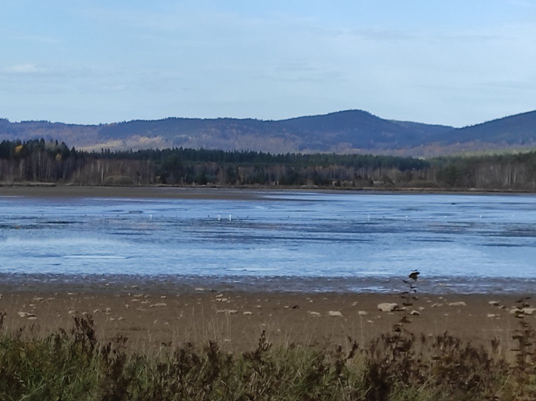Sadová, Větřní do Sadová, Větřní
