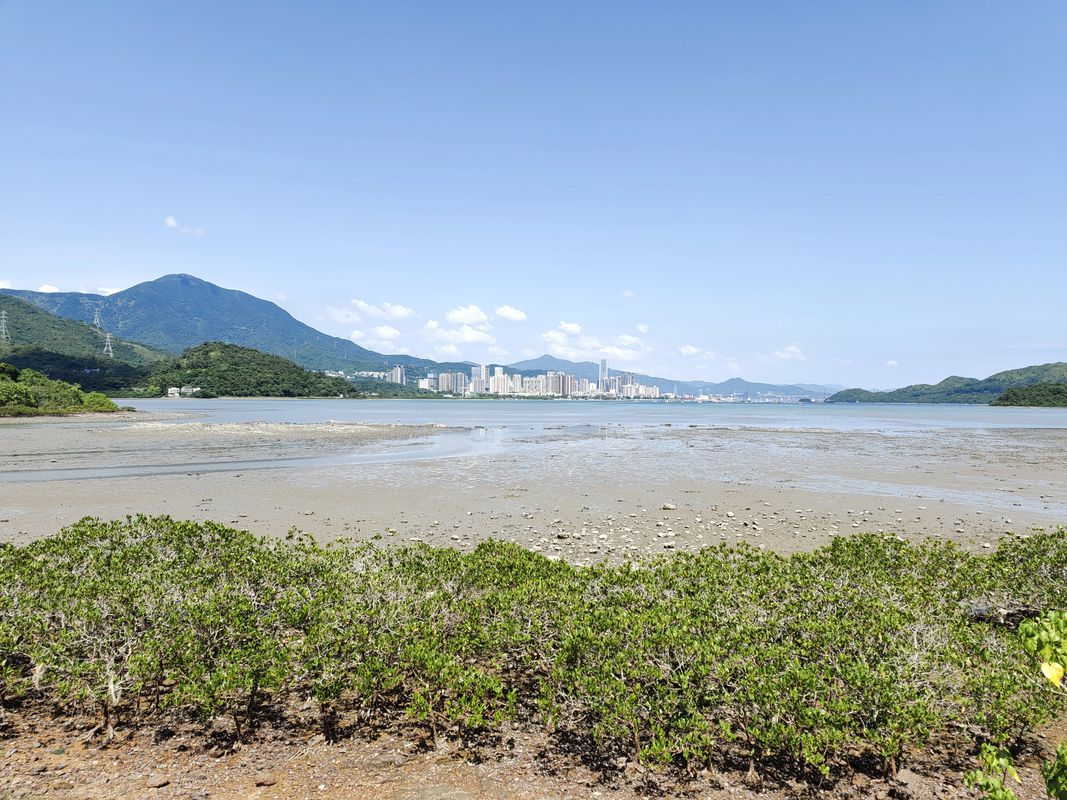 Tuen Mun 🔁 Ma On Shan (屯門🔁馬鞍山)