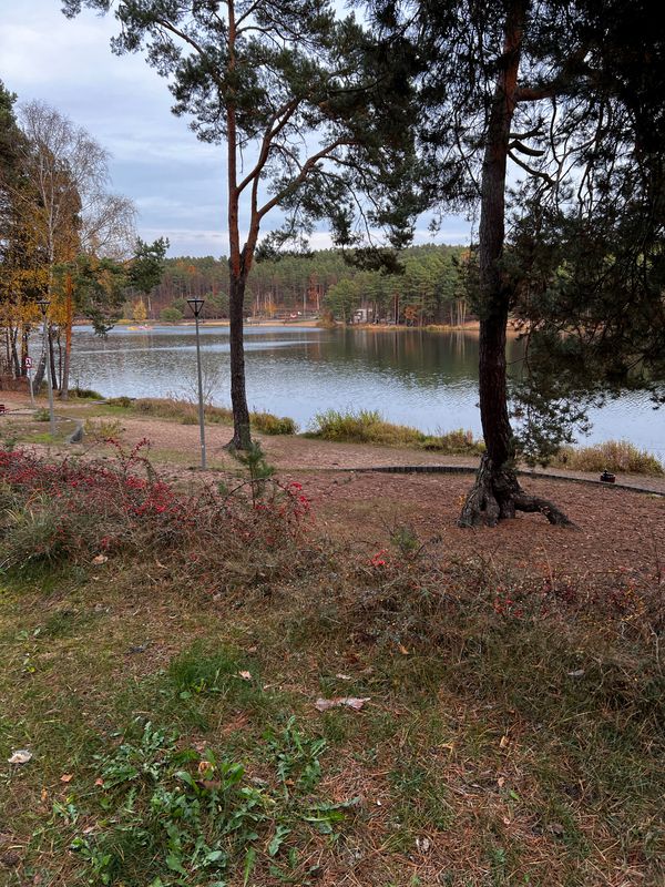 Rejów-Bugaj