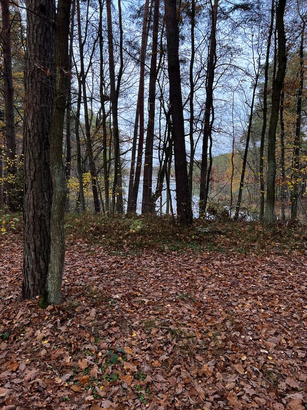 Rejów-Bugaj