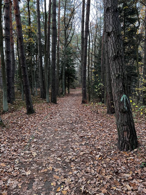 Rejów-Bugaj