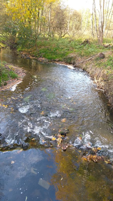 Route von und nach Siedlungsstraße 13, Doberschau-Gaußig