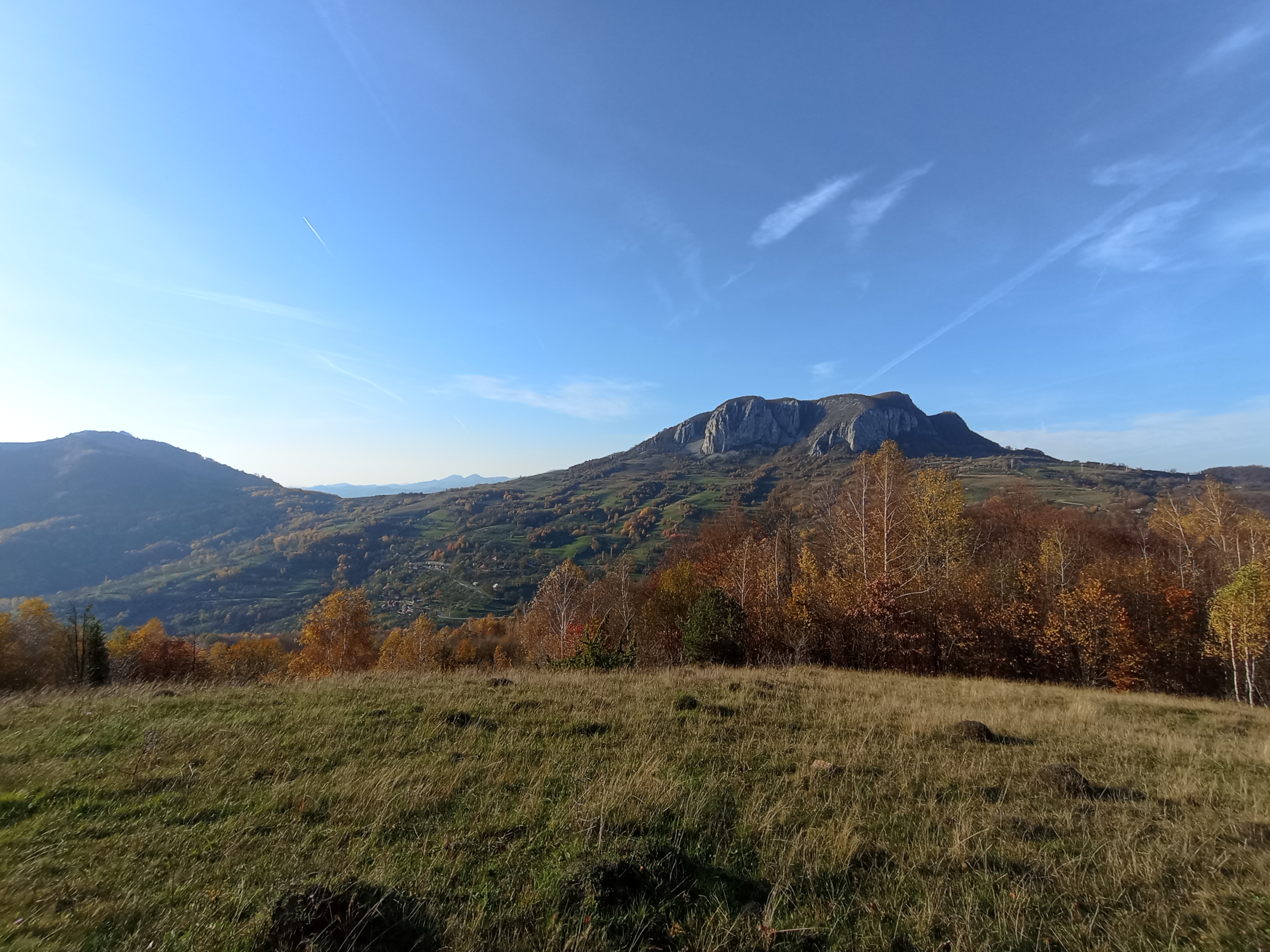 De Strada Horea 1, Brad a Strada Libertății 2, Brad