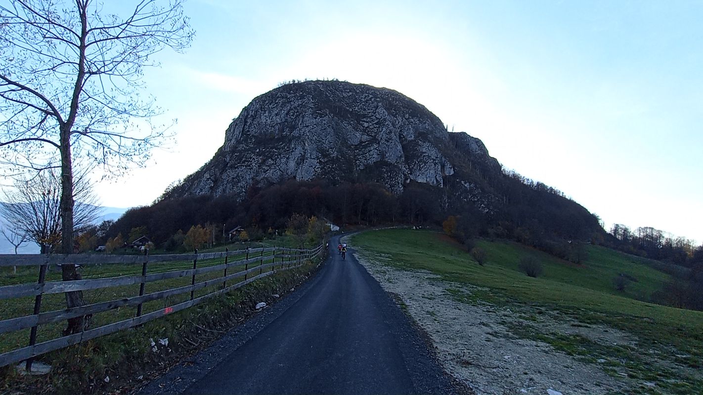 De Strada Horea 1, Brad a Strada Libertății 2, Brad