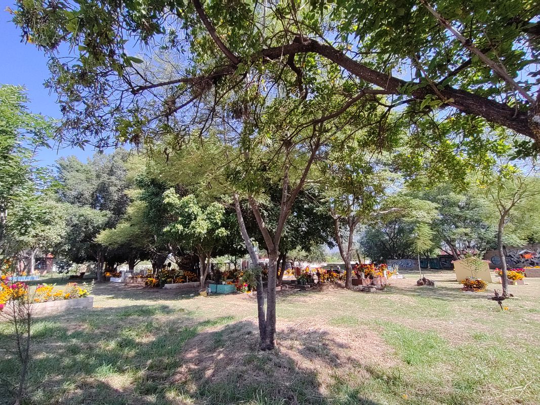 Ruta desde Sergio Hernández 1, San Jacinto Amilpas