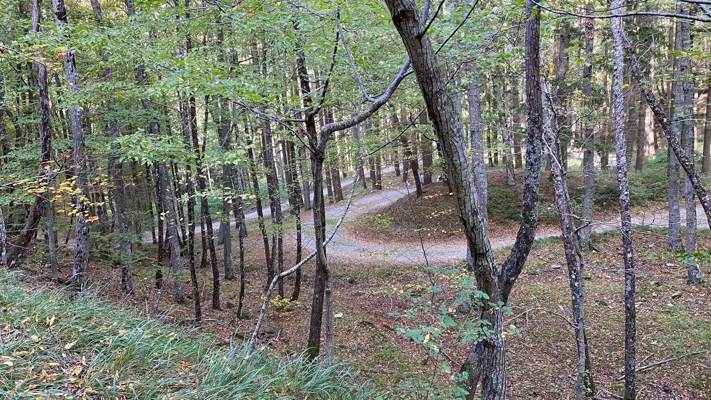 Da Stia all’eremo di Camaldoli via Asqua e per la via dei legni o via dei tedeschi