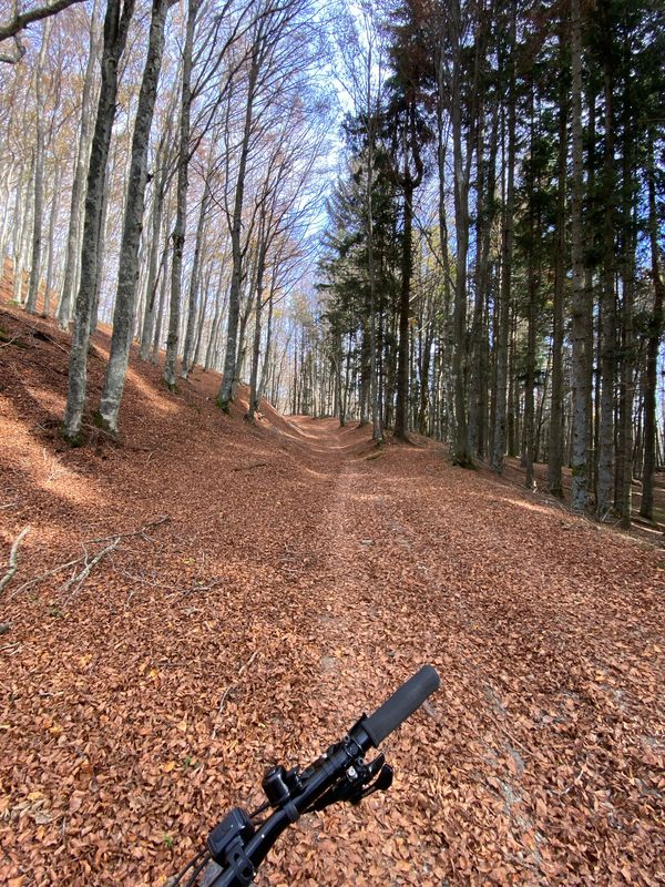Da Stia all’eremo di Camaldoli via Asqua e per la via dei legni o via dei tedeschi
