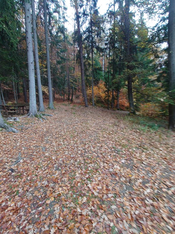 Wiesfleck nach Schreibers Dorf über den neuen Radweg zurück