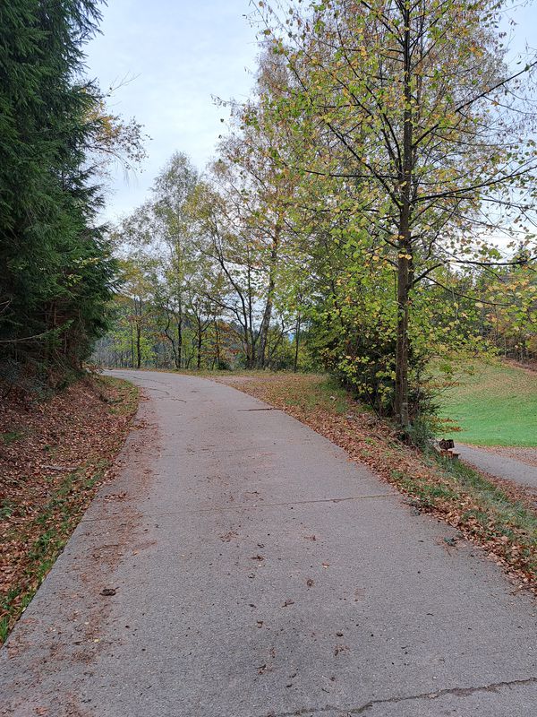 Schiltach, Mattenweiher, Teisenkopf, Heubach, Schiltach