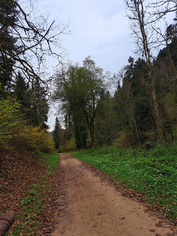 Schiltach, Mattenweiher, Teisenkopf, Heubach, Schiltach