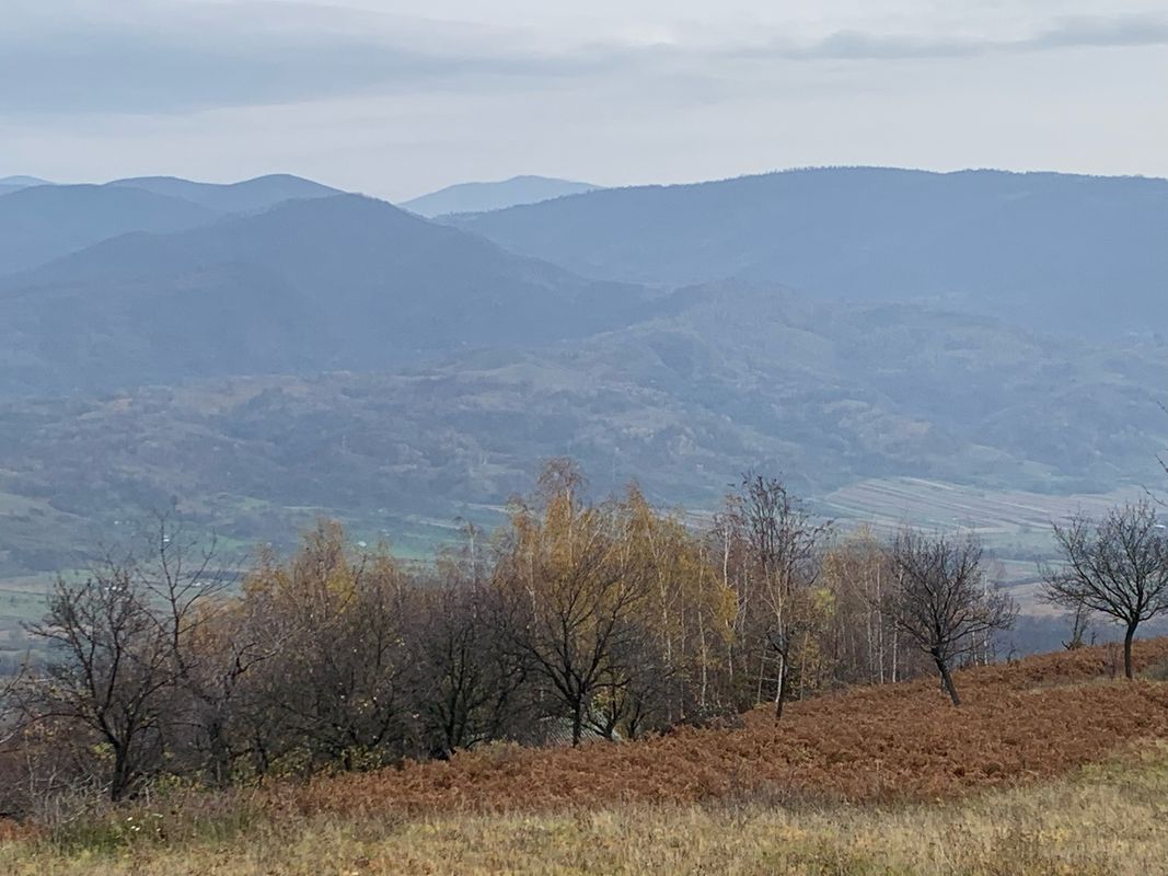 teregova-tabla pocalia- talibanilor bogdanului pasul poarta orientala Vf tomnaticu