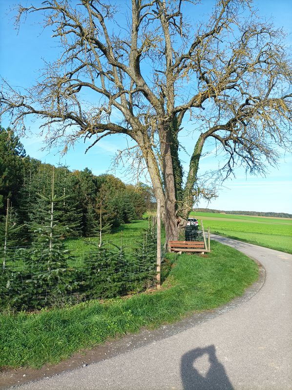 Im Möhriger Feld 2, Öhringen to Lindenallee 8, Öhringen