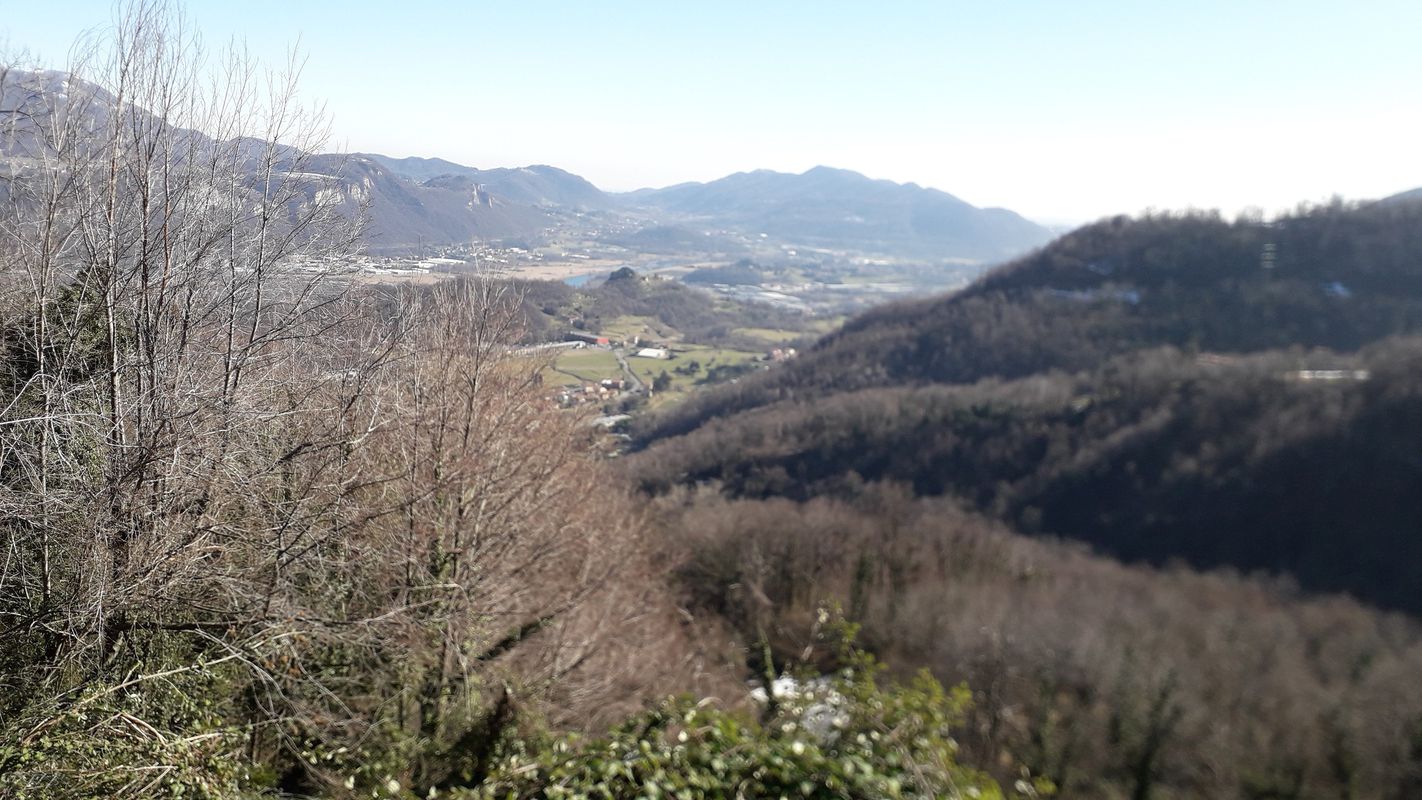Aizurro
