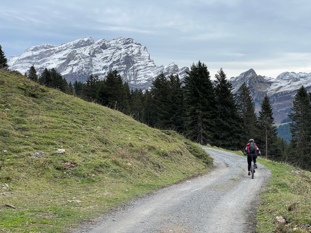 Chemin des Ecureuils 10, Ollon to Avenue Centrale 105, Ollon