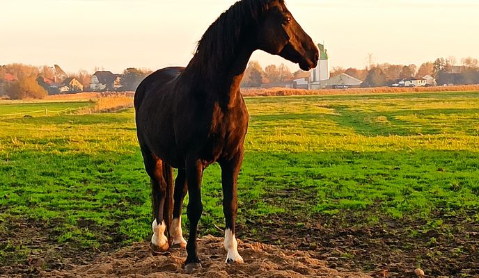 Foto 2 der Bikemap-Route "Ruhige Route" Foto 2 der Bikemap-Route "Ruhige Route"