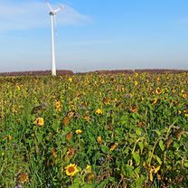 Foto 7 der Bikemap-Route "Ruhige Route" Foto 7 der Bikemap-Route "Ruhige Route"