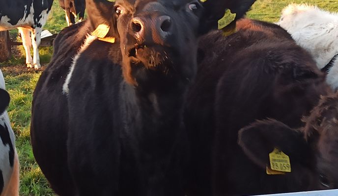 Foto 1 der Bikemap-Route "Ruhige Route" Foto 1 der Bikemap-Route "Ruhige Route"