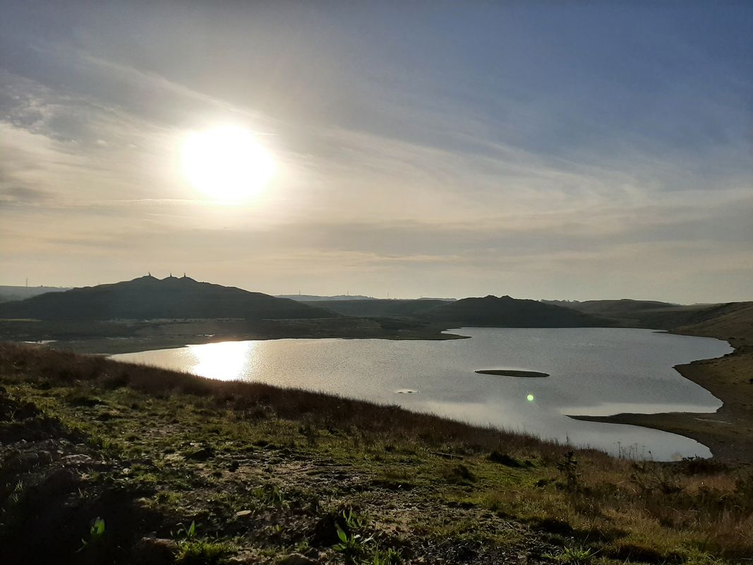 Blairadam from Kingseat